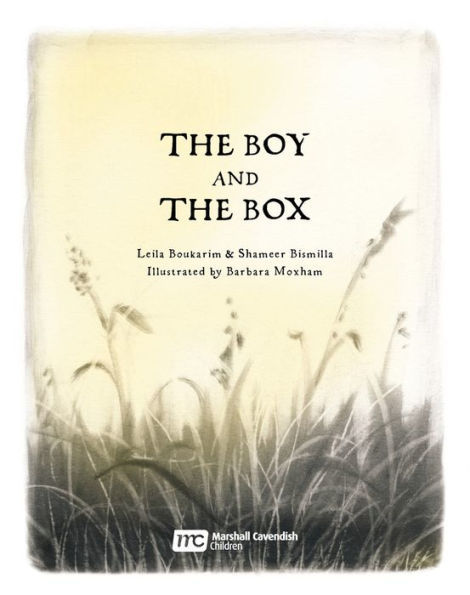 The Boy and the Box