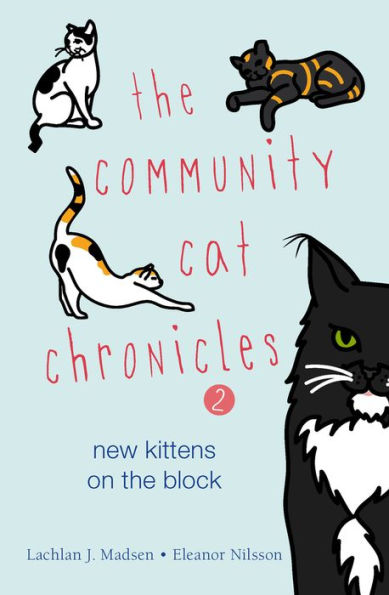 the Community Cat Chronicles 2: New Kittens on Block