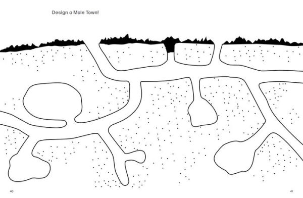 Read + Play: Little Mole's Awesome Star