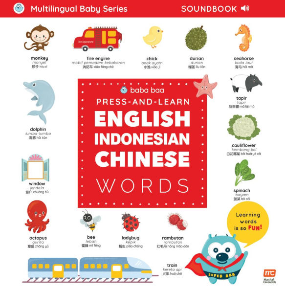 Press-and-Learn English Indonesian Chinese Words Sound Book