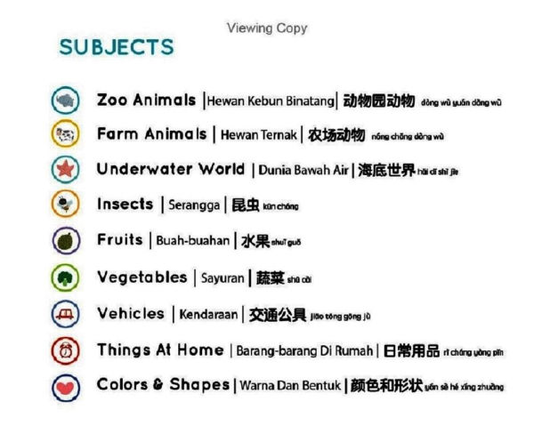 Press-and-Learn English Indonesian Chinese Words Sound Book
