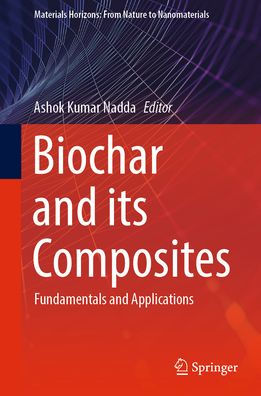 Biochar and its Composites: Fundamentals Applications