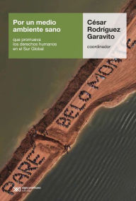 Title: Por un medio ambiente sano que promueva los derechos humanos en el Sur Global, Author: César Rodríguez Garavito