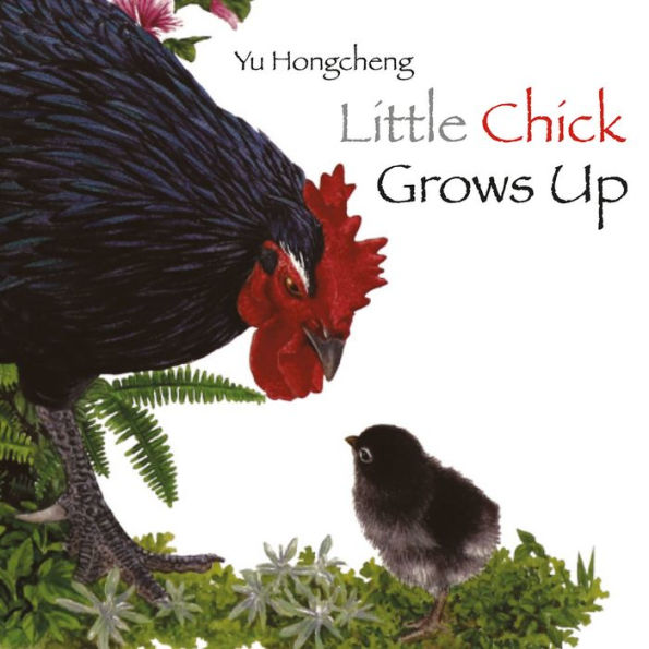 Little Chick Grows Up