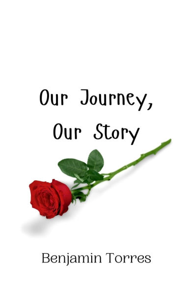 Our Journey, Story