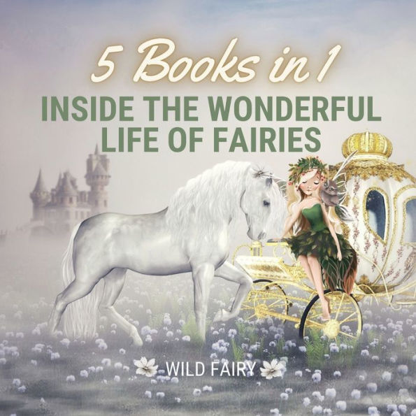 Inside the Wonderful Life of Fairies: 5 Books 1