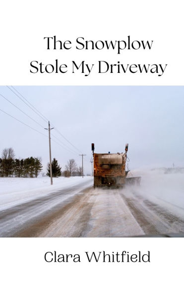 The Snowplow Stole My Driveway