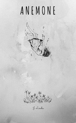 Anemone: The Windflower