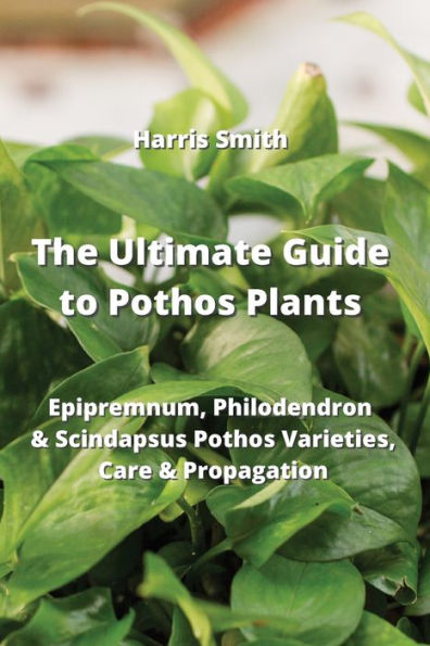 The Ultimate Guide to Pothos Plants: Epipremnum, Philodendron & Scindapsus Pothos Varieties, Care & Propagation