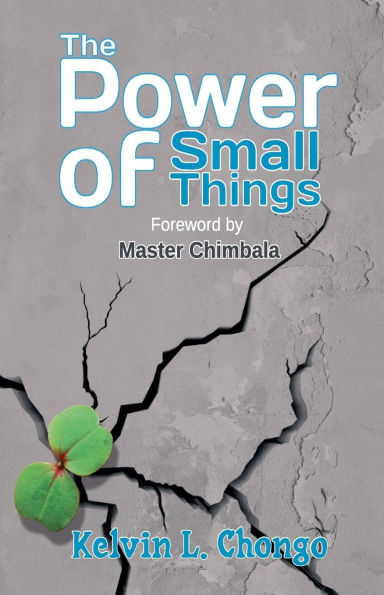 The Power of Small Things