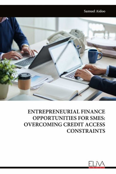 Entrepreneurial Finance Opportunities for Smes: Overcoming Credit Access Constraints