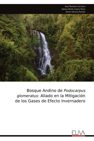 Bosque Andino de Podocarpus glomeratus: Aliado en la Mitigaciï¿½n de los Gases de Efecto Invernadero
