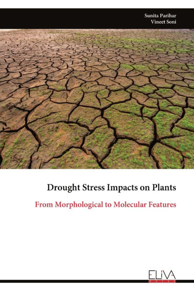 Drought Stress Impacts on Plants: From Morphological to Molecular Features