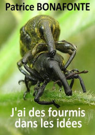 Title: J'ai des fourmis dans les idées, Author: Patrice BONAFONTE