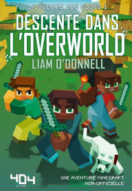 Title: Descente dans l'overworld, Author: Michele Ramberg