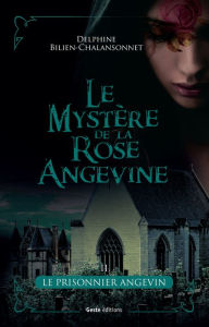 Title: Le prisonnier angevin: Une saga d'intrigue historique, Author: Delphine Bilien