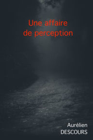 Title: UNE AFFAIRE DE PERCEPTION, Author: AURELIEN DESCOURS