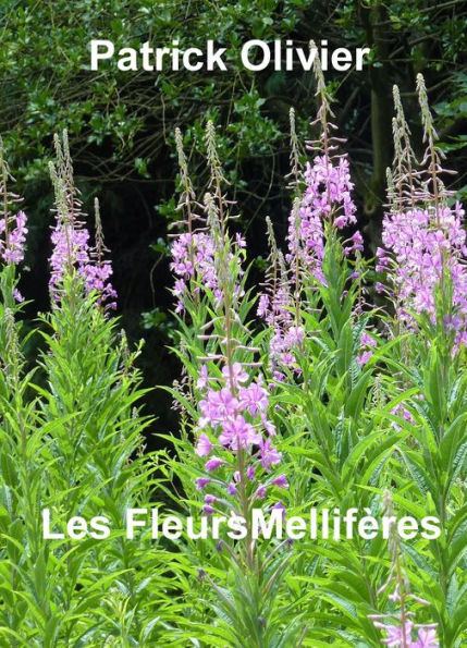 Les Plantes Mellifères