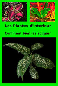 Title: Les Plantes d'intérieur, Author: Patrick Olivier
