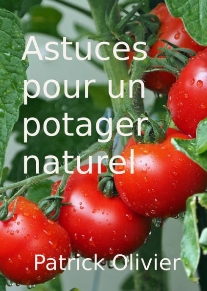 Astuces pour un Potager Naturel