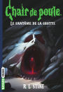 Chair de poule , Tome 09: Le fantôme de la grotte