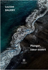 Title: Plonger, cour ouvert: Recueil, Author: Laurent Baudry