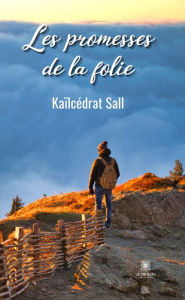 Title: Les promesses de la folie: Recueil, Author: Kaïlcédrat Sall