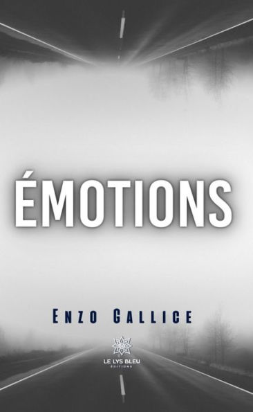 Émotions: Roman