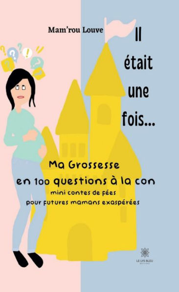 Il était une fois...: Ma grossesse en 100 questions à la con