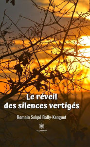 Title: Le réveil des silences vertigés, Author: Sokpé Bally-Kenguet