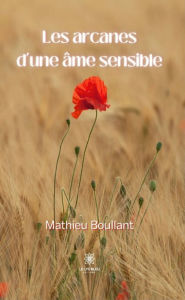 Title: Les arcanes d'une âme sensible, Author: Mathieu Boullant