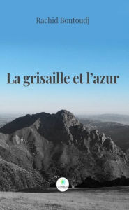 Title: La grisaille et l'azur, Author: Rachid Boutoudj