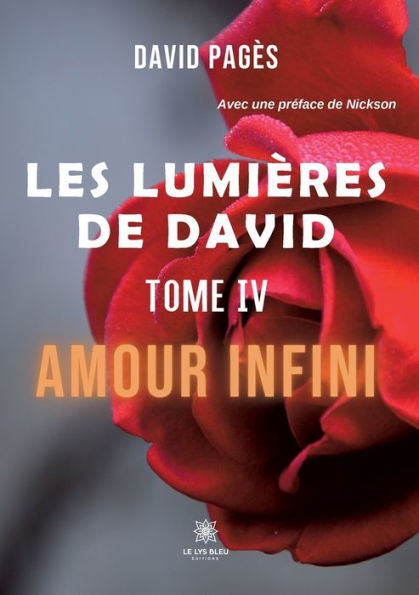 Les lumières de David: Tome IV: Amour infini