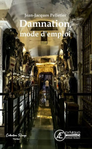 Title: Damnation, mode d'emploi: Thriller, Author: Jean-Jacques Pelletier