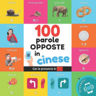 Title: 100 parole opposte in cinese: Libro illustrato bilingue per bambini: Italiano / cinese con pronuncia, Author: Yukismart