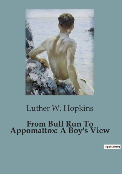 From Bull Run To Appomattox: A Boy's View