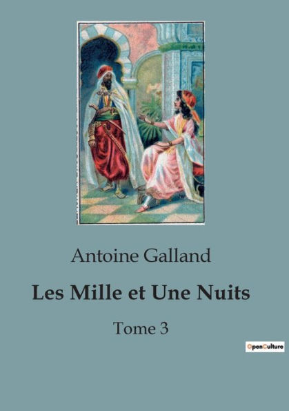 Les Mille et Une Nuits: Tome 3