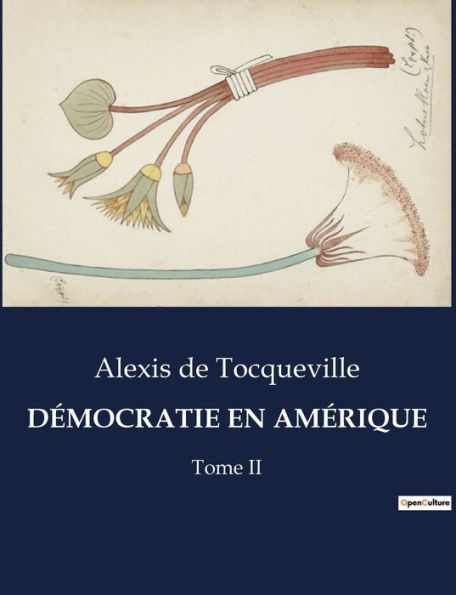 Dï¿½mocratie En Amï¿½rique: Tome II