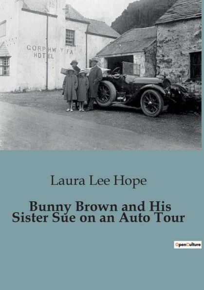 Bunny Brown and His Sister Sue on an Auto Tour