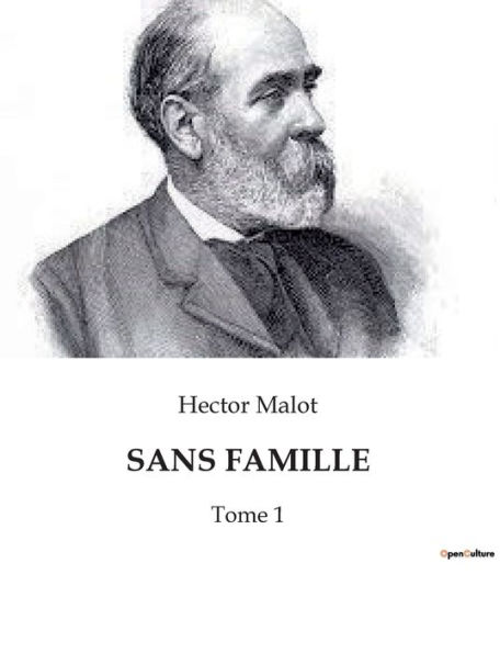 Sans Famille: Tome 1