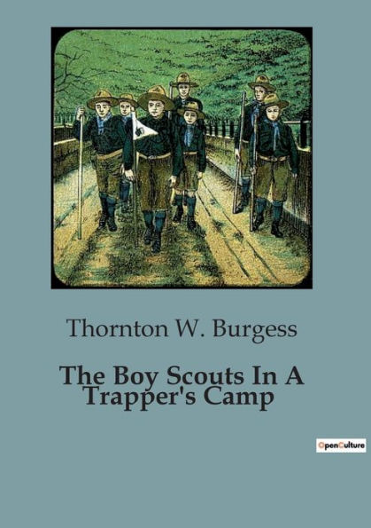 The Boy Scouts A Trapper's Camp