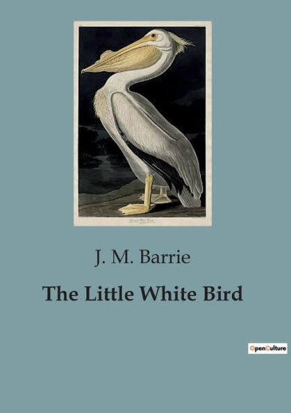 The Little White Bird