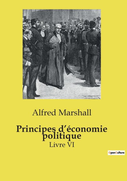 Principes d'ï¿½conomie politique: Livre VI