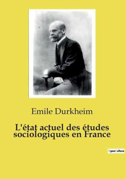 L'ï¿½tat actuel des ï¿½tudes sociologiques en France