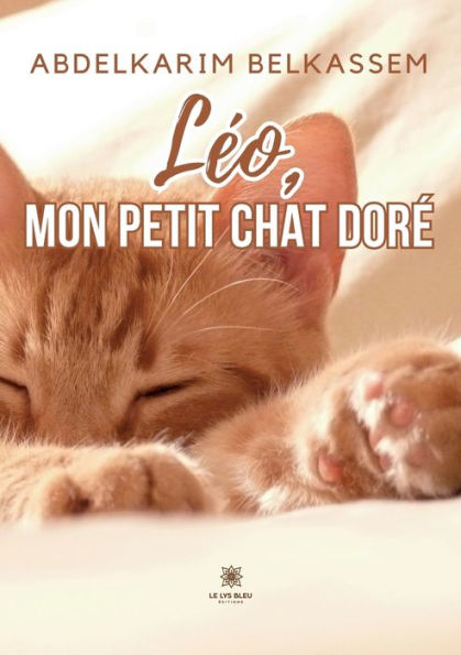 Léo, mon petit chat doré