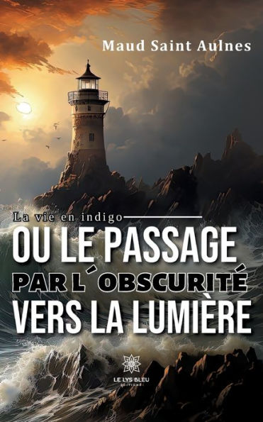 La vie en indigo ou le passage par l'obscuritï¿½ vers la lumiï¿½re