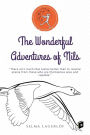 The Wonderful Adventures of Nils