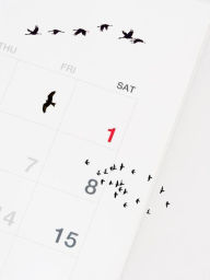 Title: Birds In The Calendar, Author: F. G. AFLALO