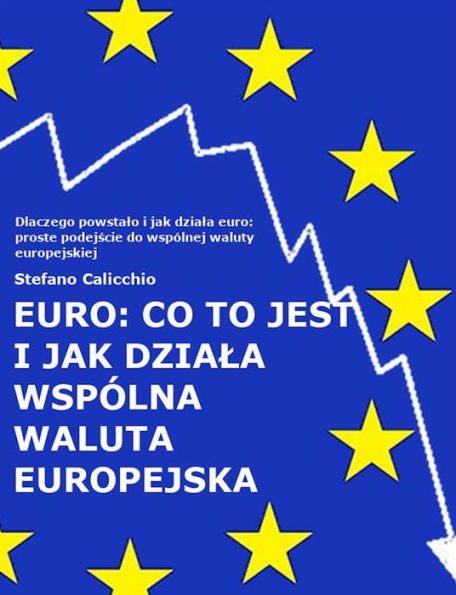 EURO: co to jest i jak dziala wspólna waluta europejska: Dlaczego powstalo i jak dziala euro: proste podejscie do wspólnej waluty europejskiej