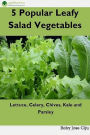 5 Popular Leafy Salad Vegetables: Lettuce, Celery, Chives, Kale and Parsley